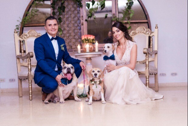 BODAS CON MASCOTAS