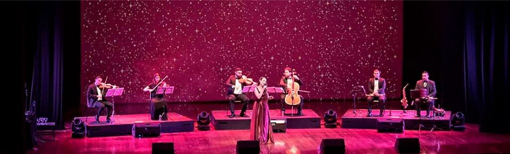 ESPECTÁCULOS ARTÍSTICOS PARA FIESTAS