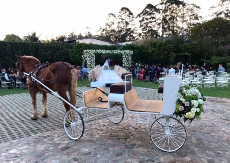 ALQUILER COCHES CABALLOS PARA BODAS MEDELLÍN