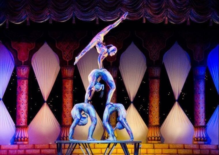 ESPECTÁCULOS ARTÍSTICOS PARA FIESTAS